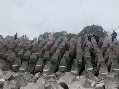 -上海滨江森林公园