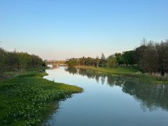 -三垟湿地