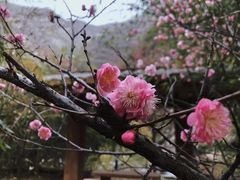 -少华山国家森林公园