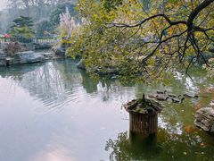 -东湖落雁景区