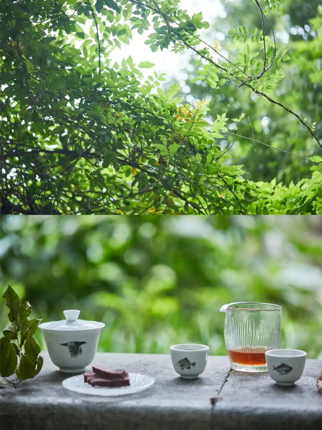 成都新茶嫩茶wx工作室经纪人恬静的午后茶