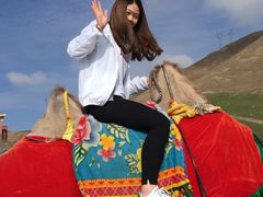 -青海湖国家重点风景名胜区