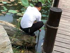 -茯茶镇