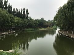 -大兴滨河森林公园