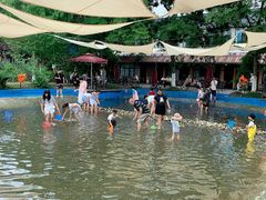 -洪湖家庭农场·团建·露营·会议