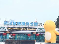 -海合安武汉极地海洋公园