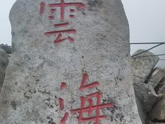 -朱雀国家森林公园