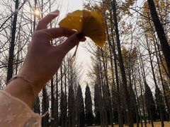 -汉景帝阳陵博物院