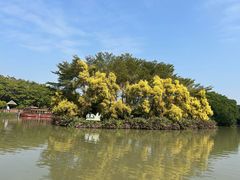 -大湾区中央湿地公园