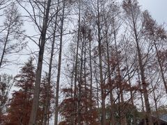 -无锡蠡湖国家湿地公园-蠡园