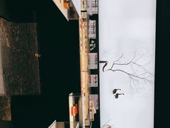 -BLACKSWAN黑天鹅(环球店)