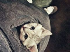 萌我一脸(๑˙❥˙๑)-MIKAKU(万达广场上海宝山店)