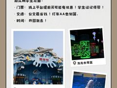-石家庄极地海洋世界