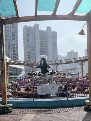 -长沙云顶星河游乐园(步步高·梅溪新天地店)