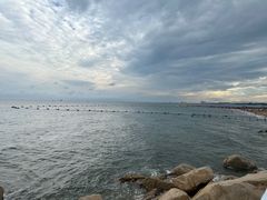 -田记自助海鲜饺子