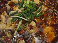 -乡土特色.冷锅鱼.牦牛肉汤锅