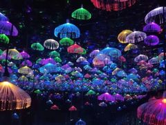 -武汉5D星空错觉艺术馆(中心百货店)