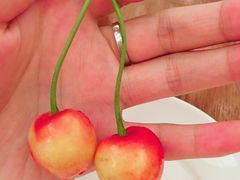 -西安赛瑞喜来登大酒店