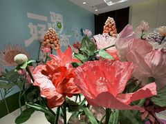 -凯德MALL(望京店)