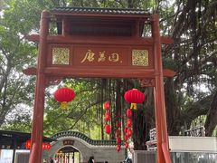 -侨美·唐荔园·40年地道粤菜