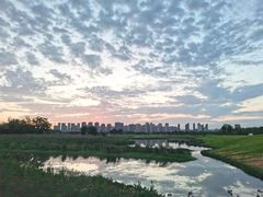 -洋湖国家湿地公园