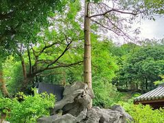-广州神农草堂中医药博物馆