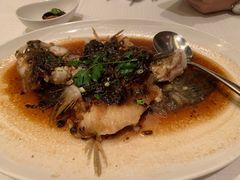 柠鼓蒸筍殼魚-金悦轩海鲜酒家(银河店)