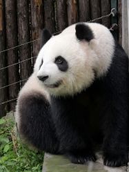 -Zoolung Zoolung动物主题公园(海信广场店)