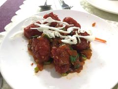 炸蔬菜丸子-葛尼沙印度餐厅 (镇明路店)