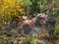 -五营红松林海景区