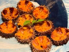马粪海胆-Minase水濑·日料放题(外滩店)