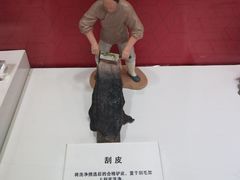 -上海市第一医药商店(南京东路店)