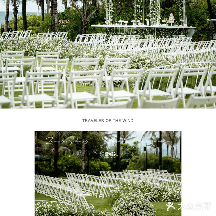 三亚婚礼｜艾迪逊婚礼｜小雏菊花海🌼🌼