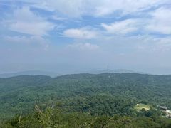 -鲁山国家森林公园