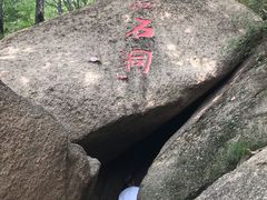 -六里坪国家森林公园