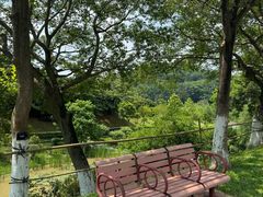 -东莞植物园