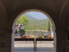 -龙坞茶村