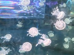 -广州海洋馆