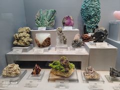 -湖南省地质博物馆