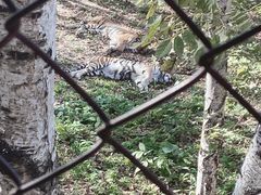 -哈尔滨北方森林动物园