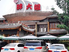 -胖大姐黄辣丁鱼庄(新津店)