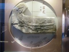 -贵州省地质博物馆