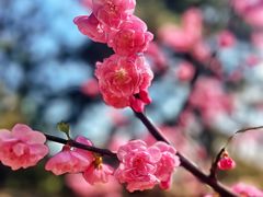 -香山公园