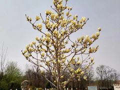 -玉佛苑