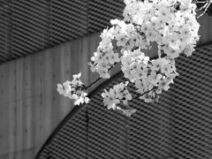 -龙美术馆(西岸馆)