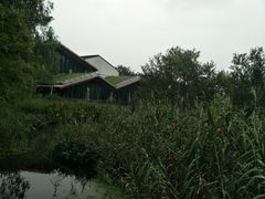 -西湖风景区-江洋畈生态公园