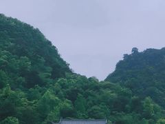 -黔灵山公园