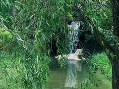 -上海野生动物园