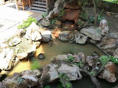 -相约小筑缅泰餐厅(孟定店)