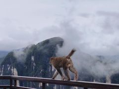 -重庆云阳龙缸景区